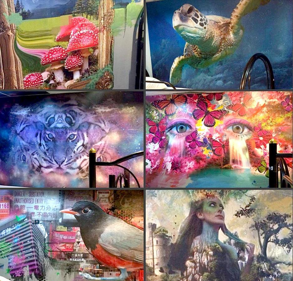 Wet! A Pool Party Hostel By Wild & Wandering 哈林海滩 外观 照片