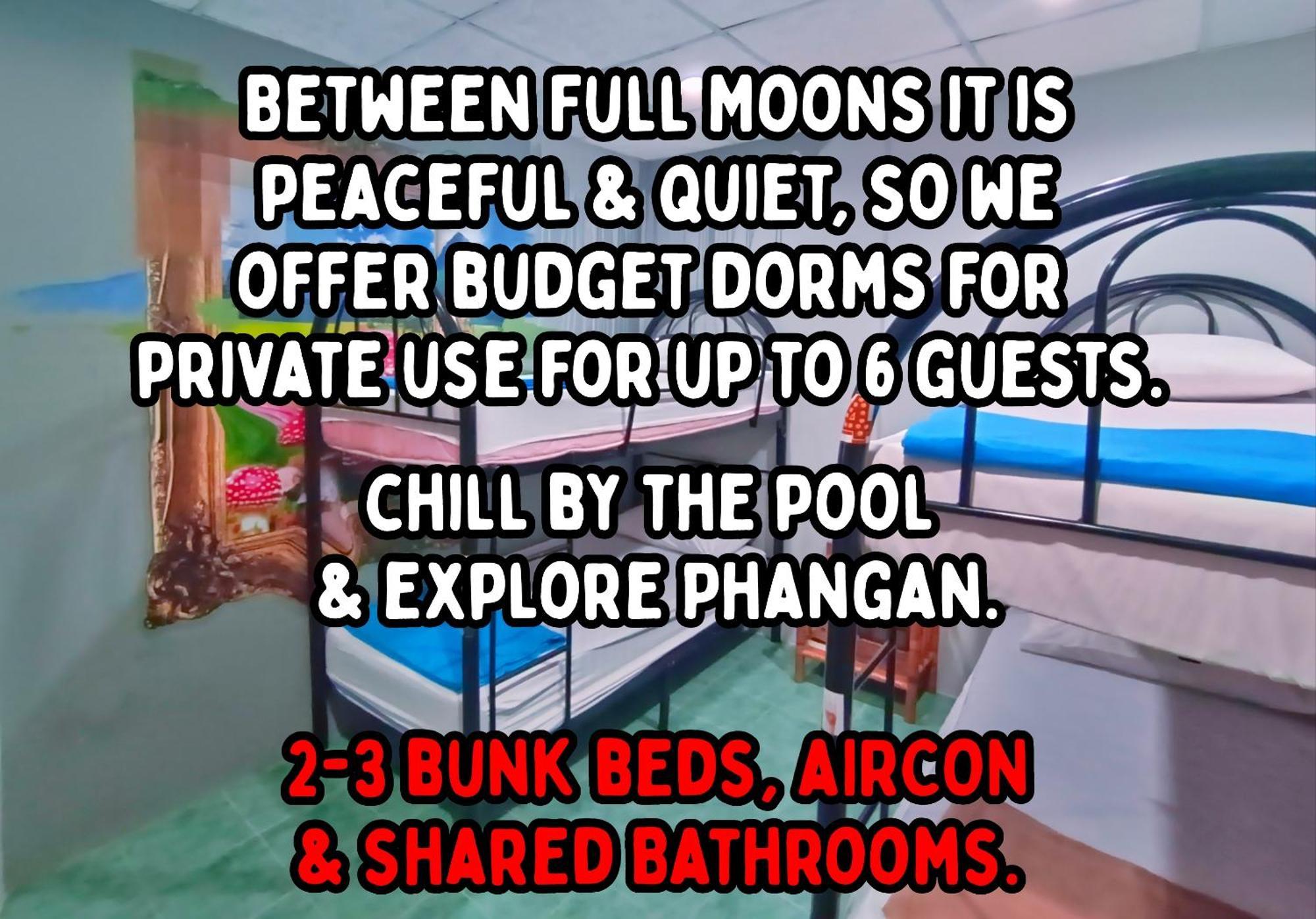 Wet! A Pool Party Hostel By Wild & Wandering 哈林海滩 客房 照片